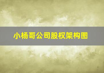 小杨哥公司股权架构图