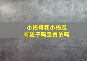 小杨哥和小杨嫂有孩子吗是真的吗