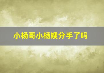 小杨哥小杨嫂分手了吗