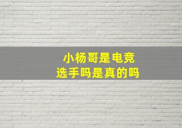 小杨哥是电竞选手吗是真的吗