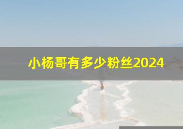 小杨哥有多少粉丝2024