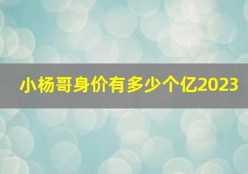 小杨哥身价有多少个亿2023