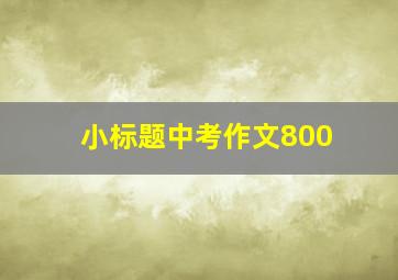 小标题中考作文800