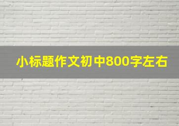 小标题作文初中800字左右