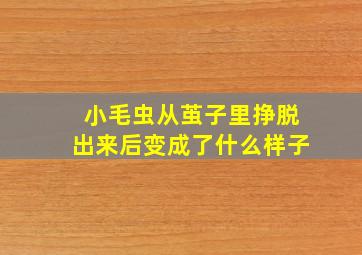 小毛虫从茧子里挣脱出来后变成了什么样子