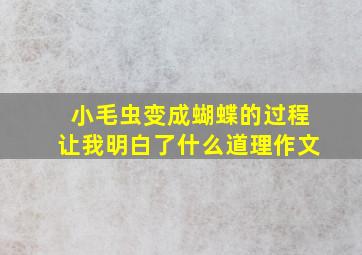 小毛虫变成蝴蝶的过程让我明白了什么道理作文