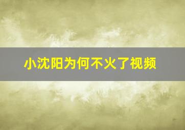 小沈阳为何不火了视频