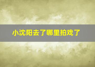 小沈阳去了哪里拍戏了