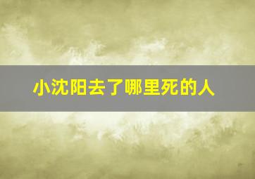 小沈阳去了哪里死的人