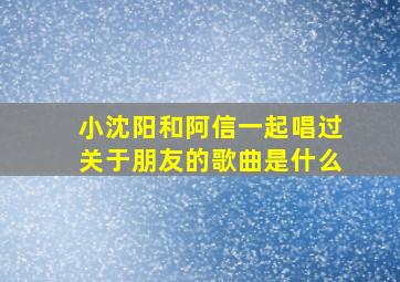 小沈阳和阿信一起唱过关于朋友的歌曲是什么