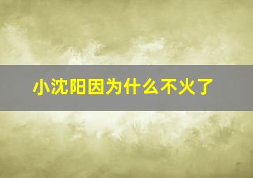 小沈阳因为什么不火了