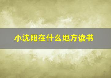 小沈阳在什么地方读书