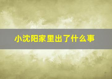 小沈阳家里出了什么事