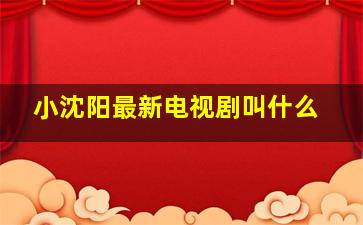 小沈阳最新电视剧叫什么