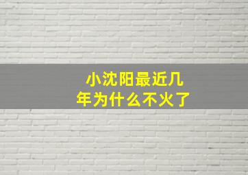 小沈阳最近几年为什么不火了