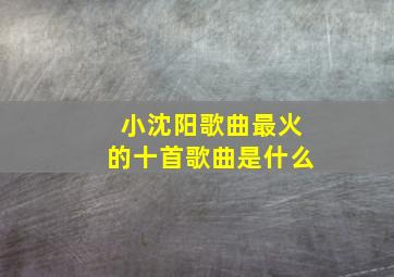 小沈阳歌曲最火的十首歌曲是什么