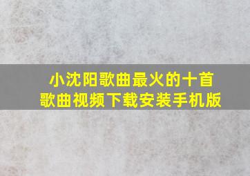 小沈阳歌曲最火的十首歌曲视频下载安装手机版