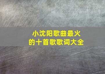 小沈阳歌曲最火的十首歌歌词大全