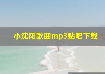 小沈阳歌曲mp3贴吧下载