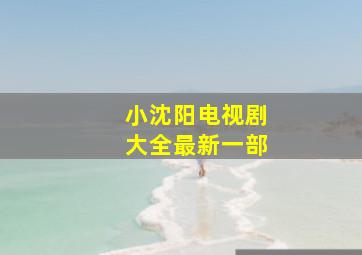 小沈阳电视剧大全最新一部