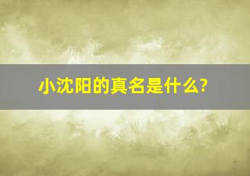 小沈阳的真名是什么?