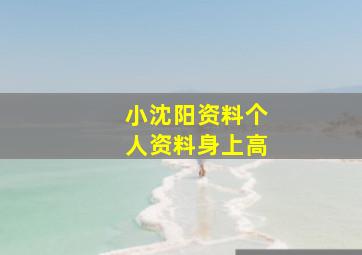 小沈阳资料个人资料身上高