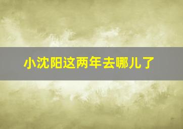 小沈阳这两年去哪儿了