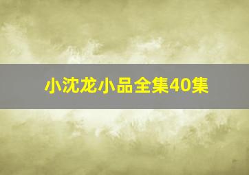 小沈龙小品全集40集