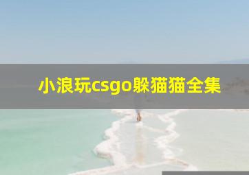 小浪玩csgo躲猫猫全集