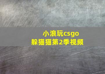 小浪玩csgo躲猫猫第2季视频