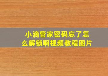 小滴管家密码忘了怎么解锁啊视频教程图片