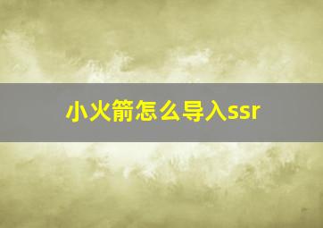 小火箭怎么导入ssr