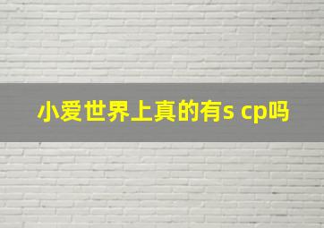 小爱世界上真的有s cp吗