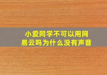 小爱同学不可以用网易云吗为什么没有声音