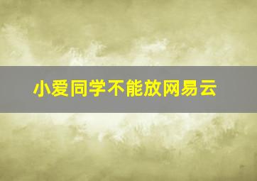 小爱同学不能放网易云