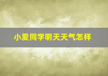 小爱同学明天天气怎样