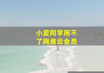 小爱同学用不了网易云会员