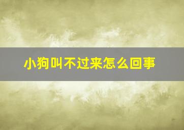 小狗叫不过来怎么回事