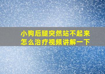 小狗后腿突然站不起来怎么治疗视频讲解一下