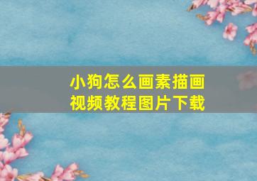 小狗怎么画素描画视频教程图片下载