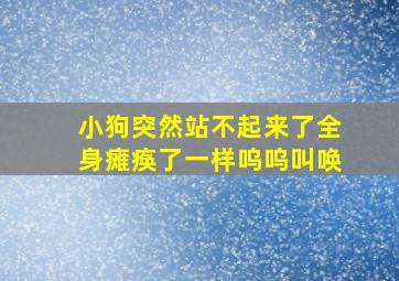 小狗突然站不起来了全身瘫痪了一样呜呜叫唤