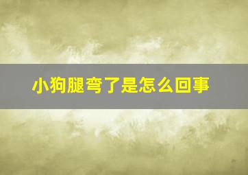 小狗腿弯了是怎么回事