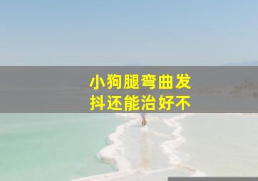 小狗腿弯曲发抖还能治好不