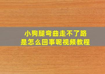 小狗腿弯曲走不了路是怎么回事呢视频教程