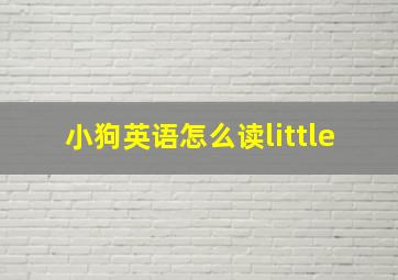 小狗英语怎么读little