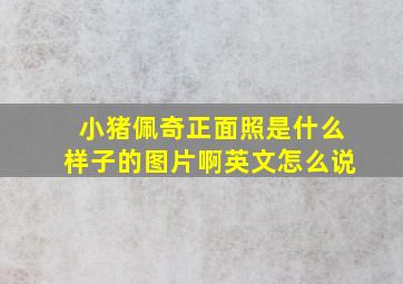 小猪佩奇正面照是什么样子的图片啊英文怎么说