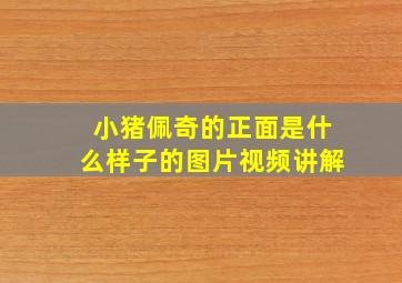 小猪佩奇的正面是什么样子的图片视频讲解