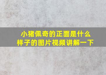 小猪佩奇的正面是什么样子的图片视频讲解一下