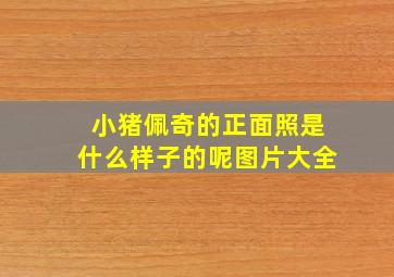 小猪佩奇的正面照是什么样子的呢图片大全