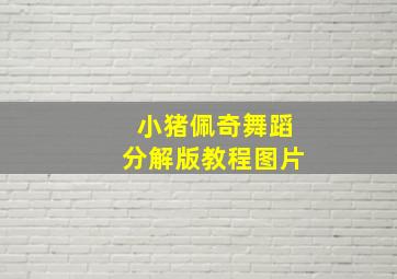 小猪佩奇舞蹈分解版教程图片